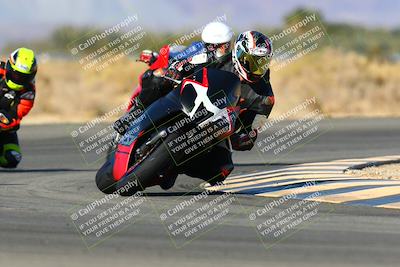 media/Jan-09-2022-SoCal Trackdays (Sun) [[2b1fec8404]]/Turn 16 (11am)/